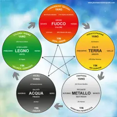 Schema dei 5 elementi (Legno, Fuoco, Terra, Metallo, Acqua) con le loro corrispondenze nel corpo e nelle emozioni. Il **mtc significato** è la Medicina Tradizionale Cinese.