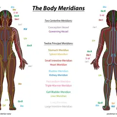 Anterior and posterior views of the human body showing colored meridian lines and labels.