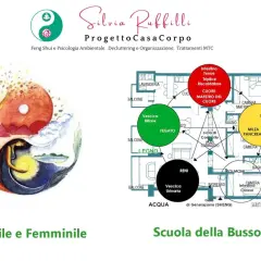 Yin Yang con figure umane, schema degli elementi e organi, per riequilibrare elemento metallo.