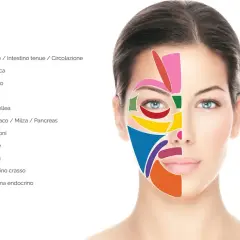 Schema della riflessologia testa: aree colorate sul viso di una donna indicano zone correlate a organi e sistemi, come cuore, fegato, polmoni e sistema endocrino.