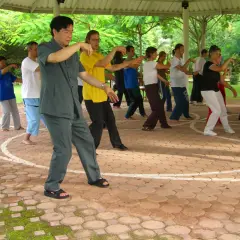 A group of people practice Tai Chi outdoors under a covered pavilion.