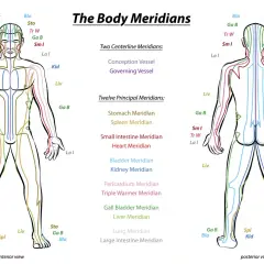 Schema dei meridiani agopuntura, con viste anteriori e posteriori del corpo umano che illustrano i percorsi energetici.