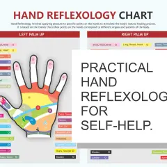 Mappa riflessologia mano: diagramma colorato mostra punti riflessi su palmo e dita, collegati a organi e sistemi del corpo per auto-aiuto.