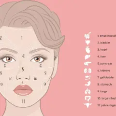 Mappa del viso medicina cinese: ogni zona del volto è collegata a un organo interno, per comprendere meglio la salute.