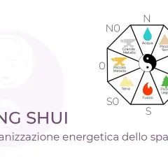 Feng Shui diagram with elements, directions, and yin-yang symbol.