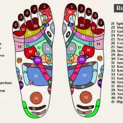 Mappa dei punti riflessi del piede per favorire il sonno. La riflessologia plantare stimola zone come il sistema nervoso (38) e la testa (5) per un riposo sereno.