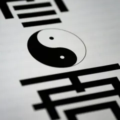 Simbolo **Jing Yang** (Yin e Yang) su sfondo bianco, circondato da caratteri neri stilizzati.