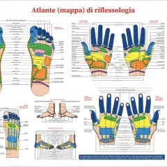 Mappa riflessologica: punti agopuntura per reflusso gastrico su mani e piedi.