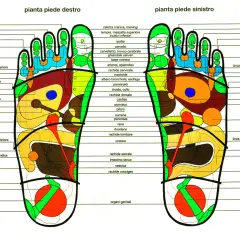 Mappa riflessologia plantare: l'orecchio sinistro è rappresentato nella zona delle dita del piede sinistro.