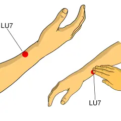 Punti digitopressione per ansia: il punto LU7 sul polso, indicato da un cerchio rosso, può aiutare a calmare la mente.