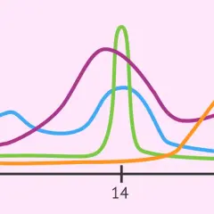 Grafico ormonale del ciclo mestruale: FSH, LH, Estrogeni e Progesterone. Utile per capire il riflessologia plantare ciclo.