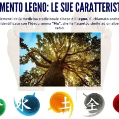 L'elemento legno, simbolo di crescita e vitalità, si riequilibra con la forza della natura. Simboli cinesi rappresentano i 5 elementi.