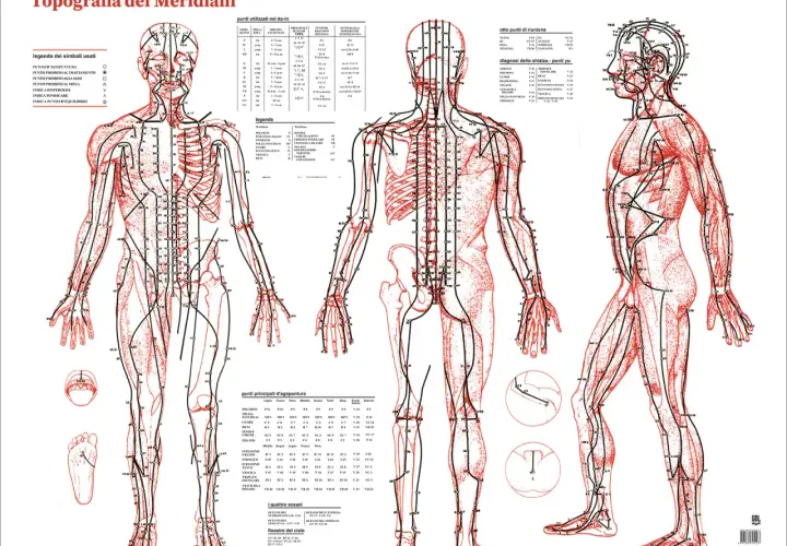 Diagrams of the human body showing acupuncture meridians and points.