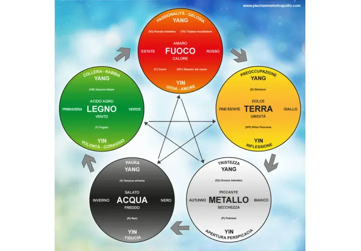 Schema dei 5 elementi (Legno, Fuoco, Terra, Metallo, Acqua) con le loro corrispondenze nel corpo e nelle emozioni. Il **mtc significato** è la Medicina Tradizionale Cinese.
