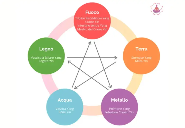 Schema dei Cinque Elementi: Terra include il meridiano stomaco.