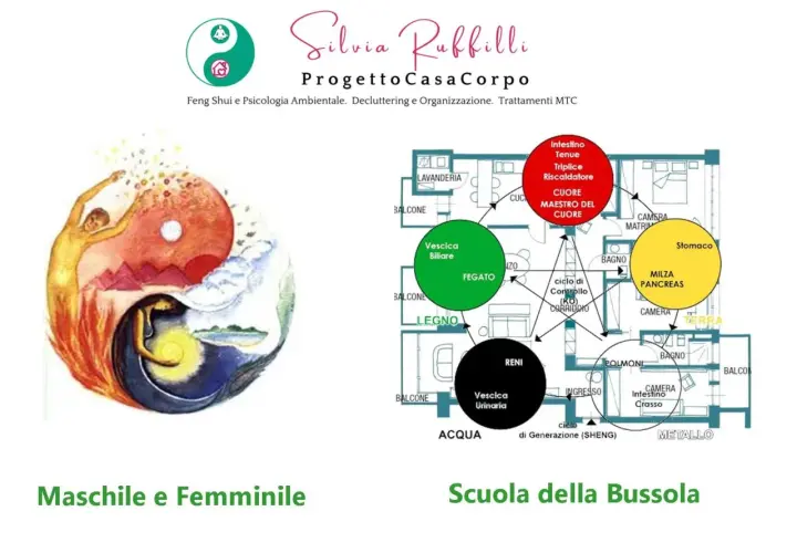 Yin Yang con figure umane, schema degli elementi e organi, per riequilibrare elemento metallo.