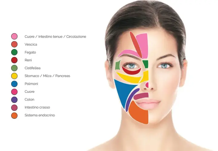 Schema della riflessologia testa: aree colorate sul viso di una donna indicano zone correlate a organi e sistemi, come cuore, fegato, polmoni e sistema endocrino.