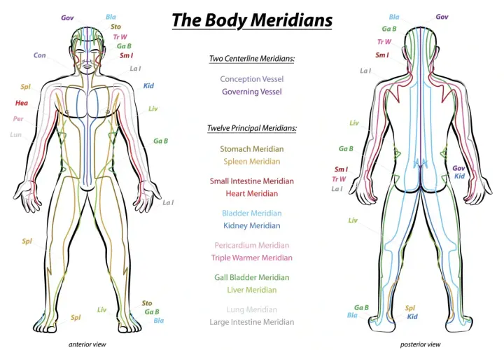 Schema dei meridiani agopuntura, con viste anteriori e posteriori del corpo umano che illustrano i percorsi energetici.