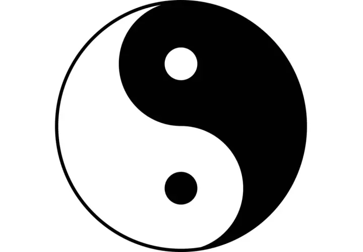 Simbolo Yin e Yang, rappresentazione visiva dell'armonia degli opposti: nero e bianco, luce e ombra, in un cerchio perfetto.