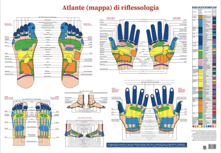 Mappa riflessologica: punti agopuntura per reflusso gastrico su mani e piedi.