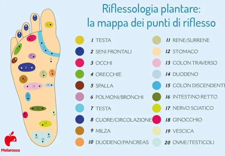 Mappa della riflessologia corporea plantare con punti colorati che indicano organi e parti del corpo.