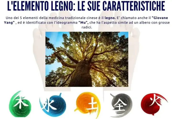 L'elemento legno, simbolo di crescita e vitalità, si riequilibra con la forza della natura. Simboli cinesi rappresentano i 5 elementi.