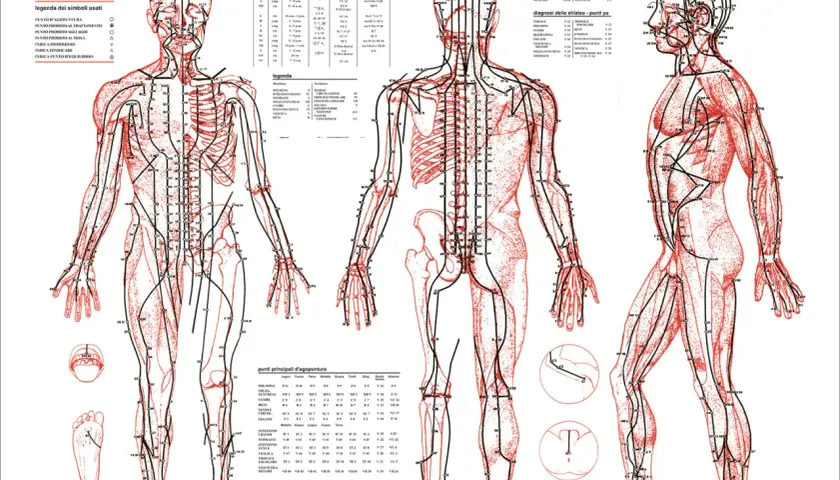 Diagrams of the human body showing acupuncture meridians and points.