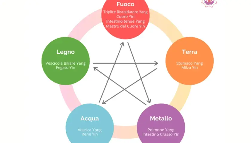 Schema dei Cinque Elementi: Terra include il meridiano stomaco.