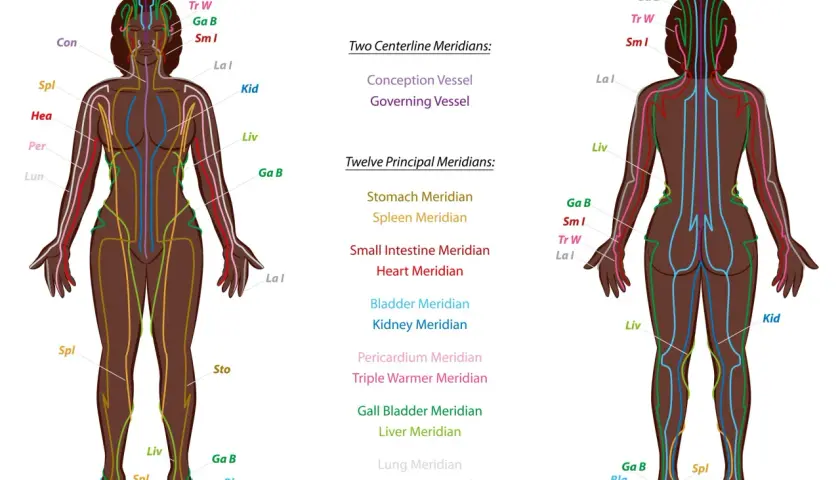 Anterior and posterior views of the human body showing colored meridian lines and labels.