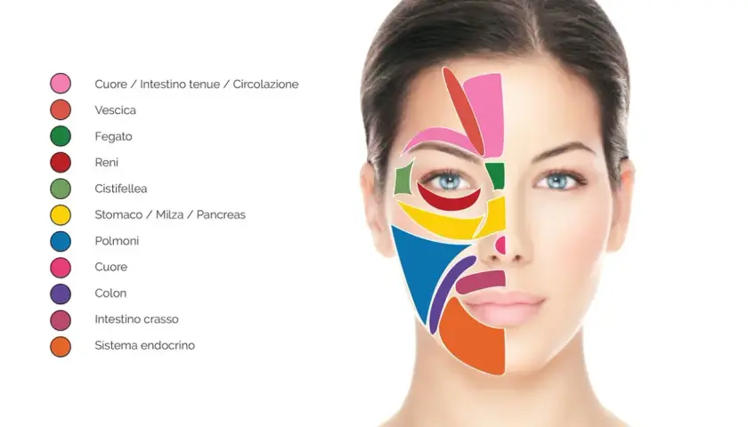 Schema della riflessologia testa: aree colorate sul viso di una donna indicano zone correlate a organi e sistemi, come cuore, fegato, polmoni e sistema endocrino.