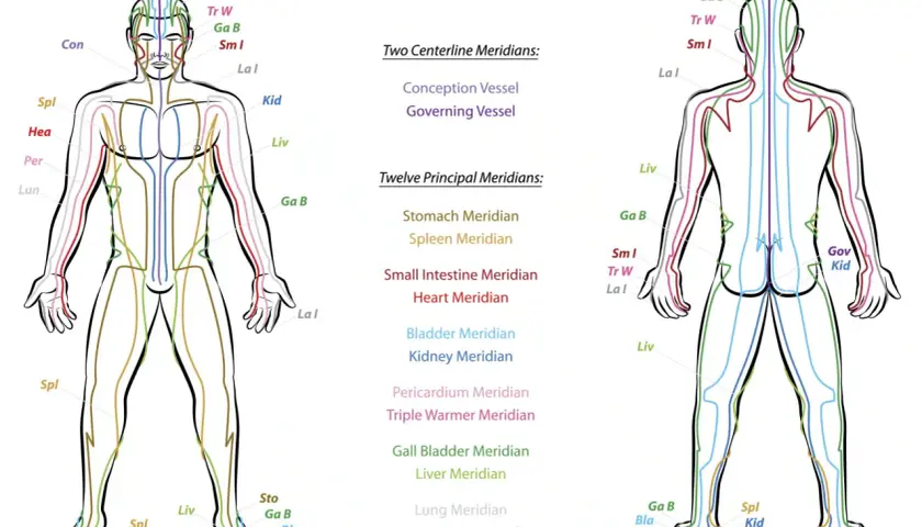 Schema dei meridiani agopuntura, con viste anteriori e posteriori del corpo umano che illustrano i percorsi energetici.