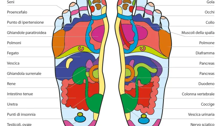 Mappa della riflessologia plantare: ogni zona del piede corrisponde a un organo o a una funzione del corpo.