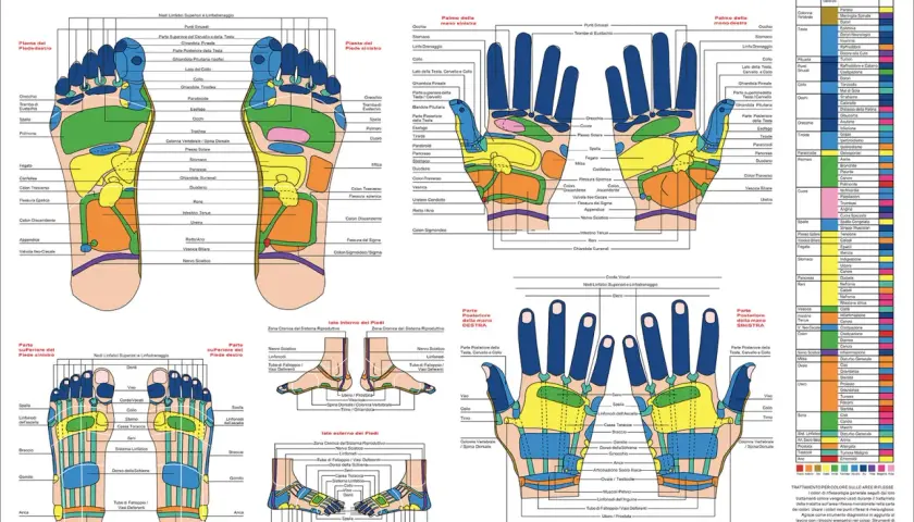 Mappa riflessologica: punti agopuntura per reflusso gastrico su mani e piedi.