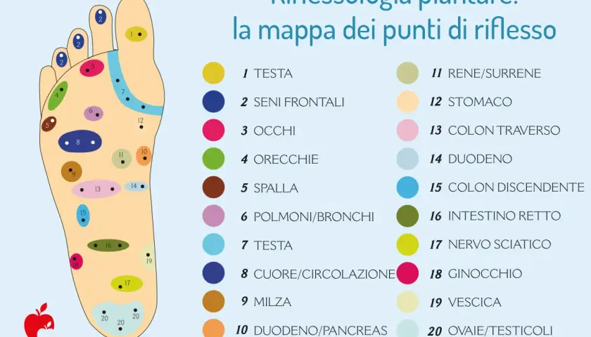 Mappa della riflessologia corporea plantare con punti colorati che indicano organi e parti del corpo.