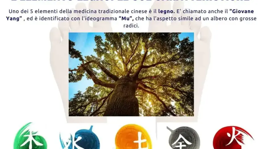 L'elemento legno, simbolo di crescita e vitalità, si riequilibra con la forza della natura. Simboli cinesi rappresentano i 5 elementi.