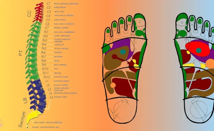 Chakra del piede - Mappa e stimolazione efficace