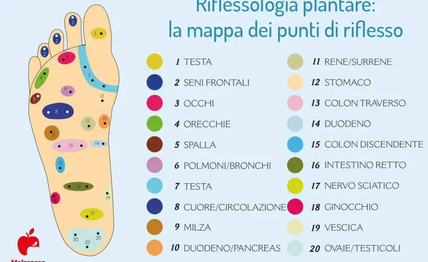 Riflessologia plantare e malattie - La verità sul tuo piede
