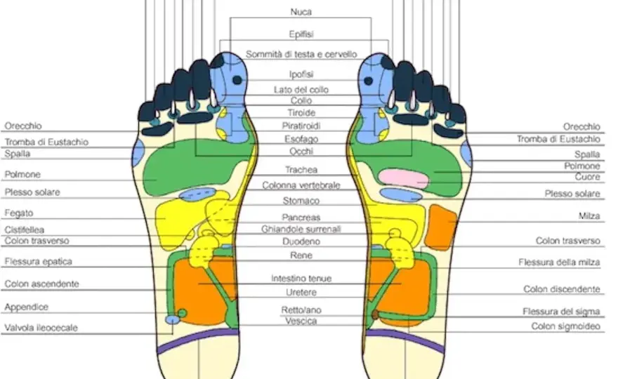Riflessologia plantare psicosomatica - Verità, benefici e limiti