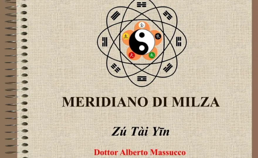 Meridiano della Milza - Equilibrio, Benessere e Digitopressione