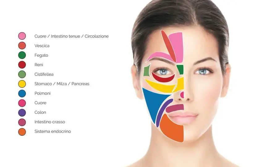 Riflessologia della testa - Allevia tensione e stress