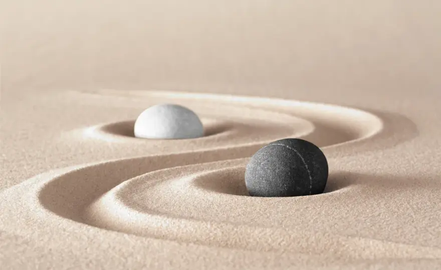 Simbolo Tao bianco e nero - Equilibrio dinamico per il tuo benessere