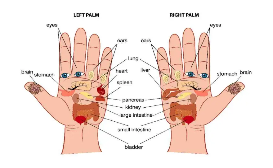 Digitopressione sulla mano - Punti chiave per relax e benessere