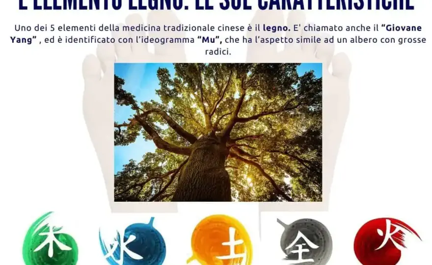 Elemento Legno - Sblocca la tua energia e riparti