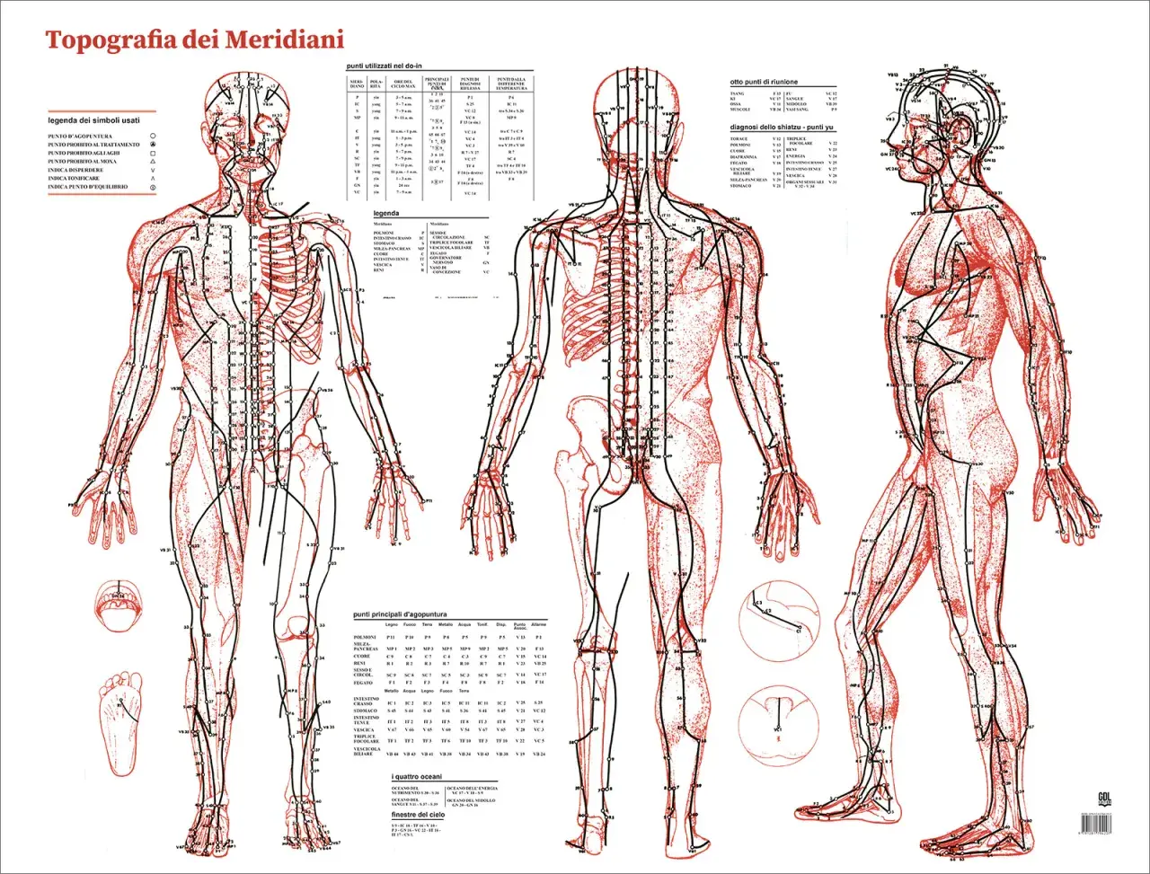 Diagrams of the human body showing acupuncture meridians and points.