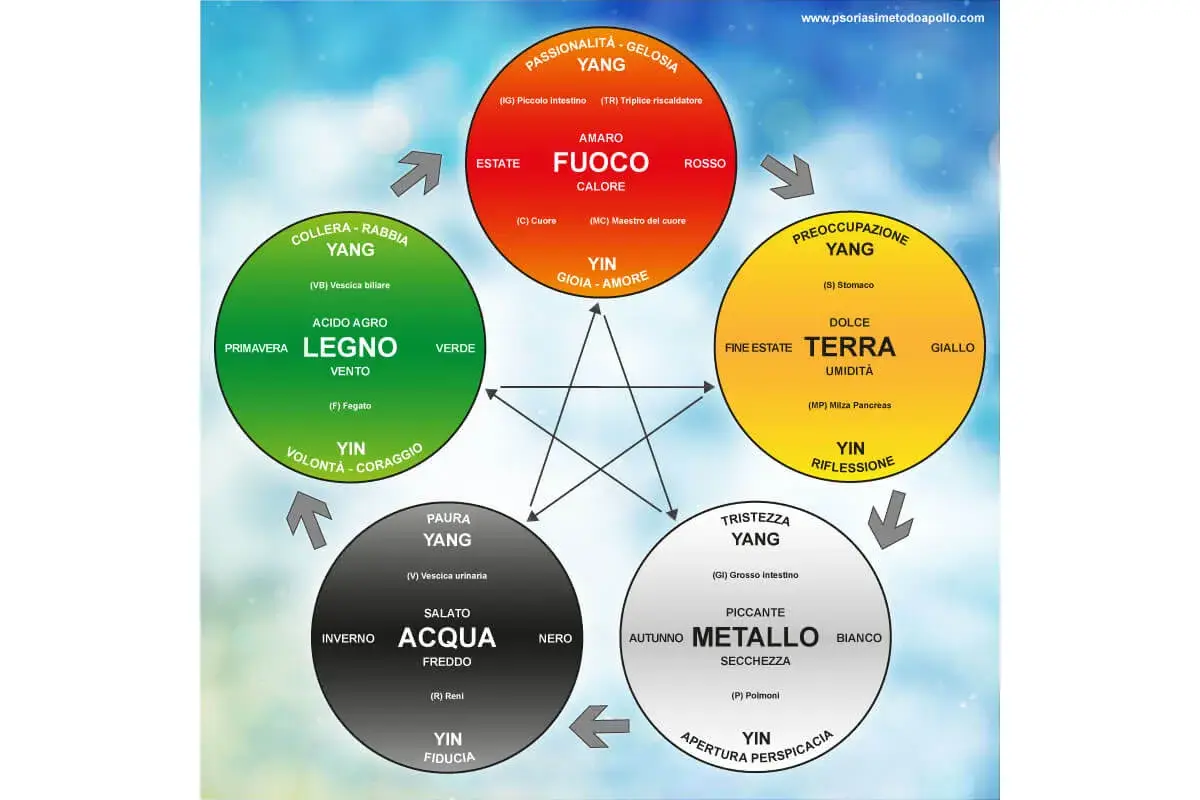Schema dei 5 elementi (Legno, Fuoco, Terra, Metallo, Acqua) con le loro corrispondenze nel corpo e nelle emozioni. Il **mtc significato** è la Medicina Tradizionale Cinese.