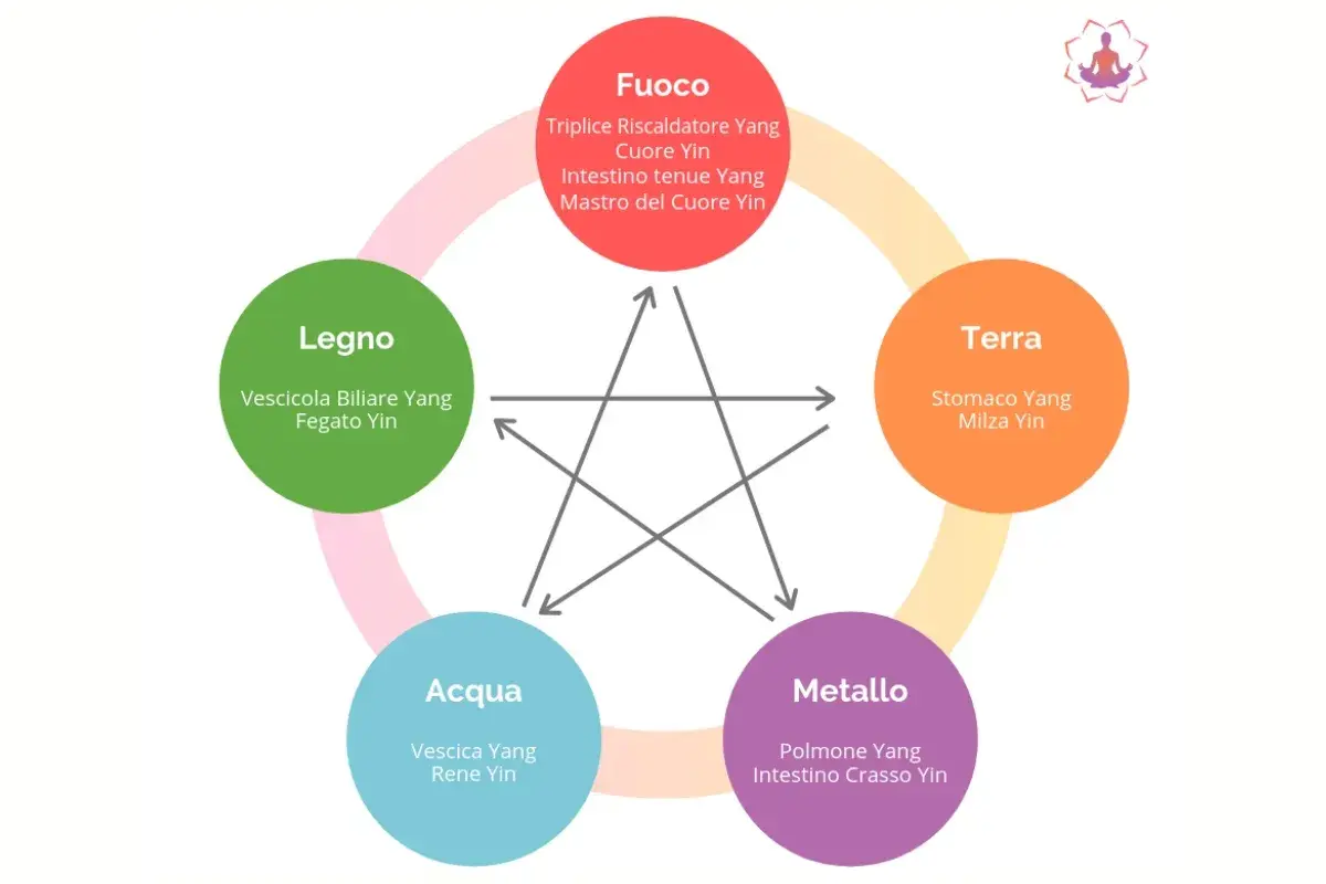 Schema dei Cinque Elementi: Terra include il meridiano stomaco.