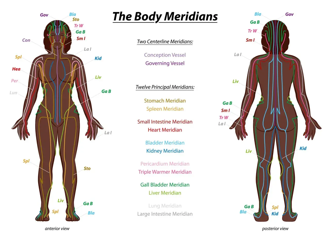 Anterior and posterior views of the human body showing colored meridian lines and labels.