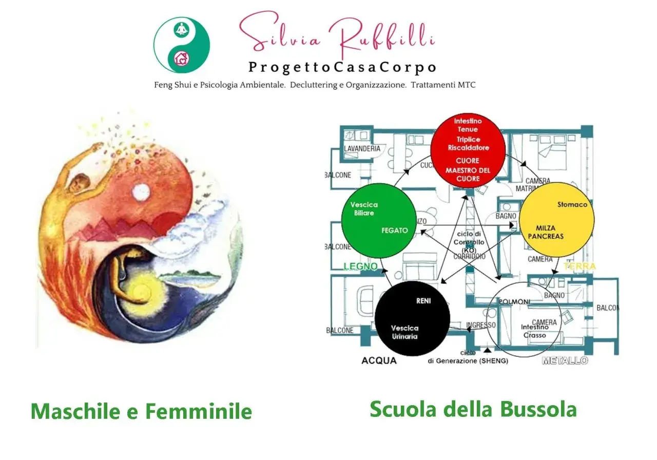Yin Yang con figure umane, schema degli elementi e organi, per riequilibrare elemento metallo.