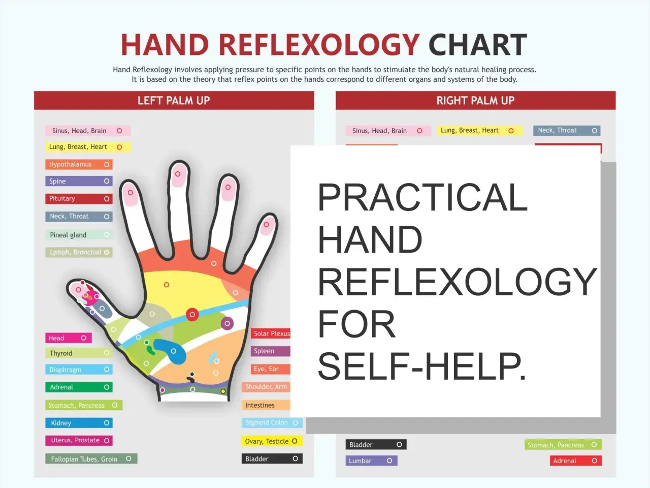 Mappa riflessologia mano: diagramma colorato mostra punti riflessi su palmo e dita, collegati a organi e sistemi del corpo per auto-aiuto.