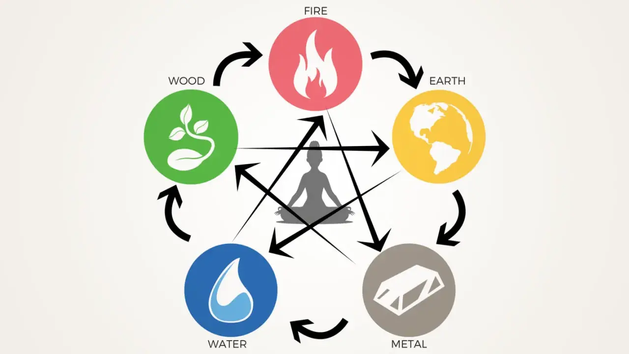 Schema dei 5 elementi simboli: Fuoco, Terra, Metallo, Acqua, Legno, con figura umana al centro.